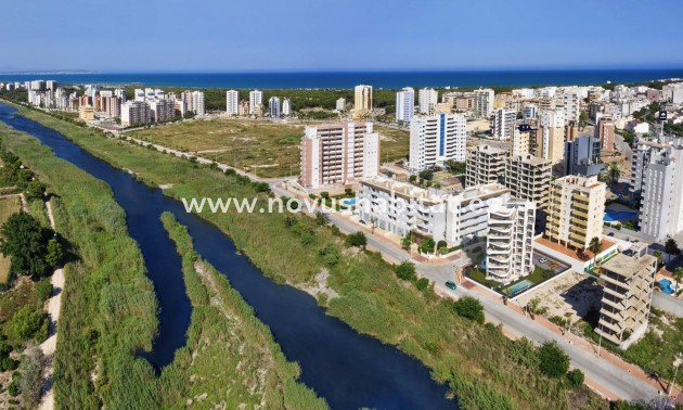 Apartament - Nowa inwestycja - Guardamar del Segura - Guardamar del Segura