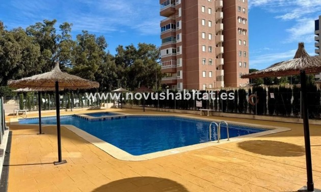 Apartament - Nowa inwestycja - Guardamar del Segura - Guardamar del Segura