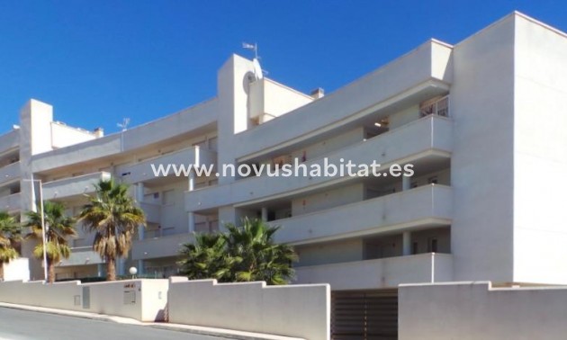 Apartament - Nowa inwestycja - Orihuela Costa - Pau 8