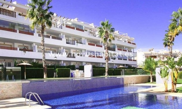 Apartament - Nowa inwestycja - Orihuela - Orihuela