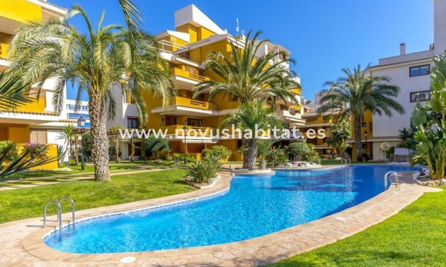 Apartament - Nowa inwestycja - Torrevieja - Torrevieja