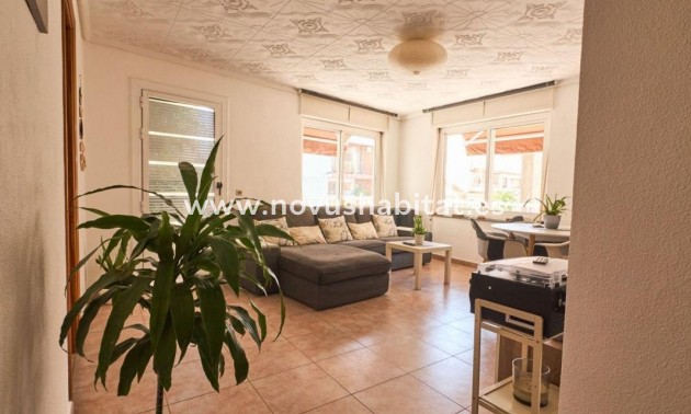Apartament - Nowa inwestycja - Torrevieja - Torrevieja