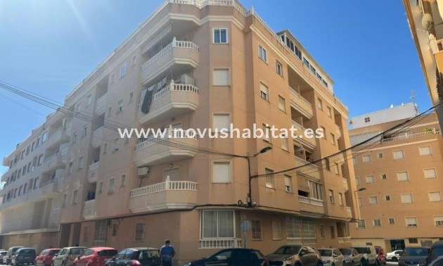 Apartament - Nowa inwestycja - Torrevieja - Torrevieja