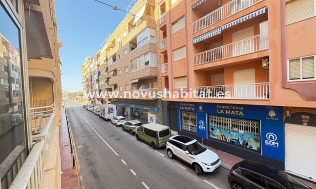 Apartament - Nowa inwestycja - Torrevieja - Torrevieja
