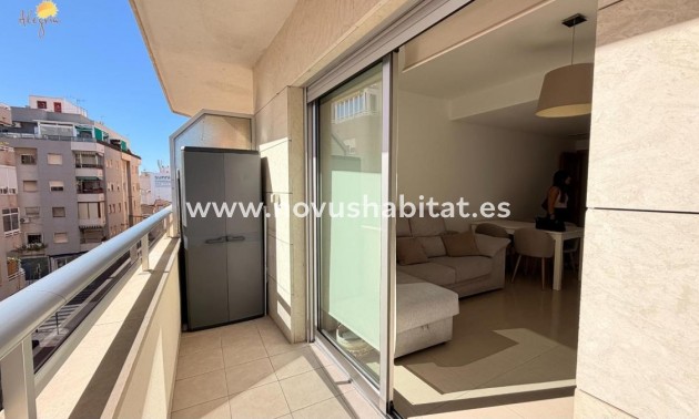 Apartament - Nowa inwestycja - Torrevieja - Torrevieja