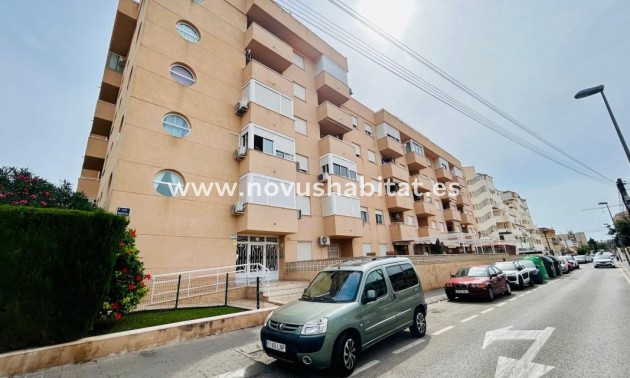 Apartament - Nowa inwestycja - Torrevieja - Torrevieja