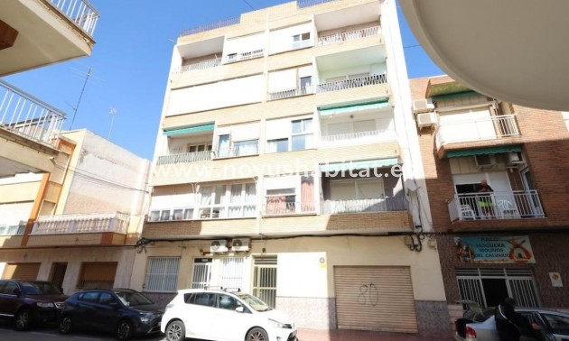 Apartament - Nowa inwestycja - Torrevieja - Torrevieja