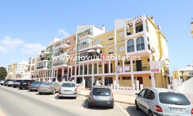 Apartament - Nowa inwestycja - Torrevieja - Torrevieja