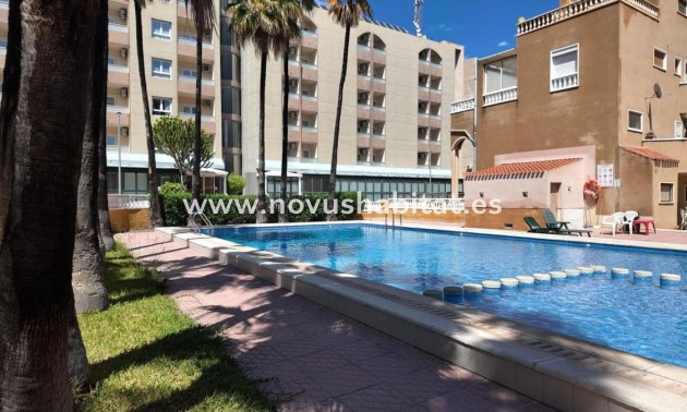 Apartament - Nowa inwestycja - Torrevieja - Torrevieja