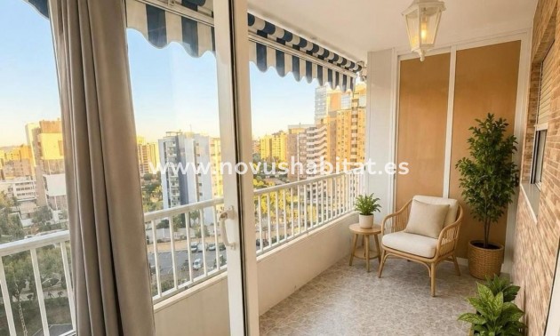 Apartament - Nueva construcción  - Alicante - Alicante