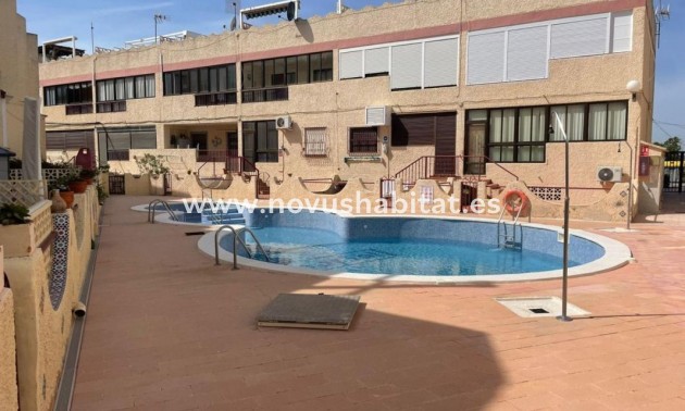 Apartament - Nueva construcción  - Guardamar del Segura - Guardamar del Segura