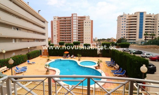 Apartament - Nueva construcción  - Guardamar del Segura - Guardamar del Segura
