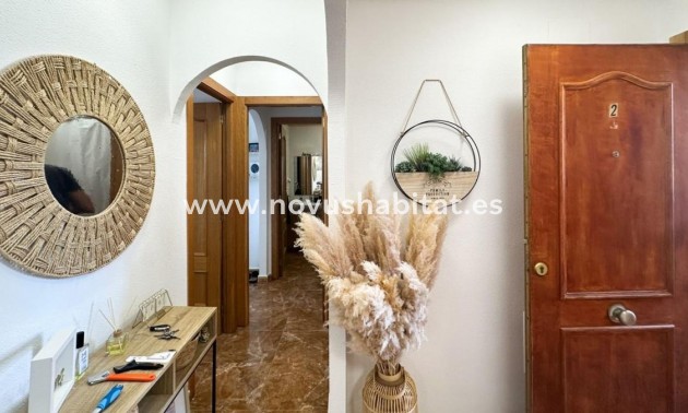 Apartament - Nueva construcción  - Guardamar del Segura - Guardamar del Segura