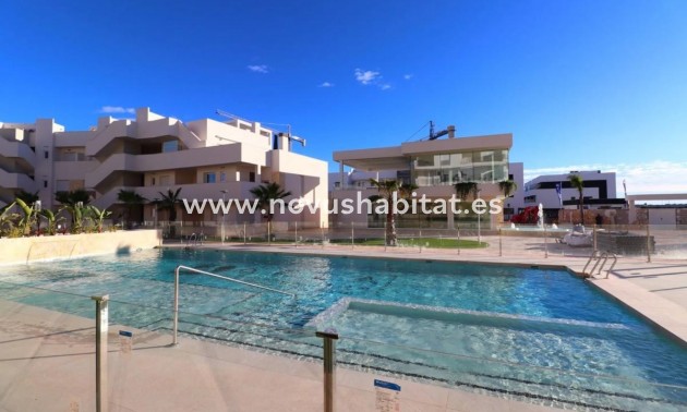 Apartament - Nueva construcción  - Guardamar del Segura - Guardamar del Segura