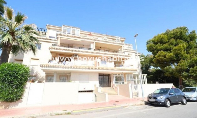 Apartament - Nueva construcción  - Orihuela - Orihuela