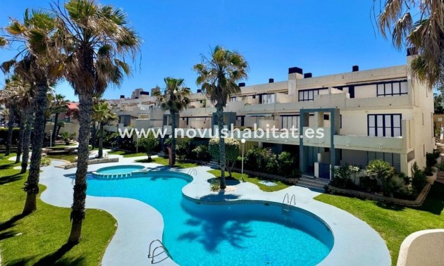Apartament - Nueva construcción  - Torrevieja - Torrevieja