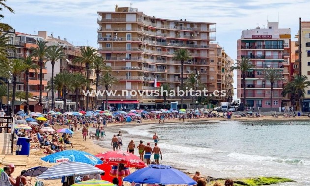 Apartament - Nueva construcción  - Torrevieja - Torrevieja