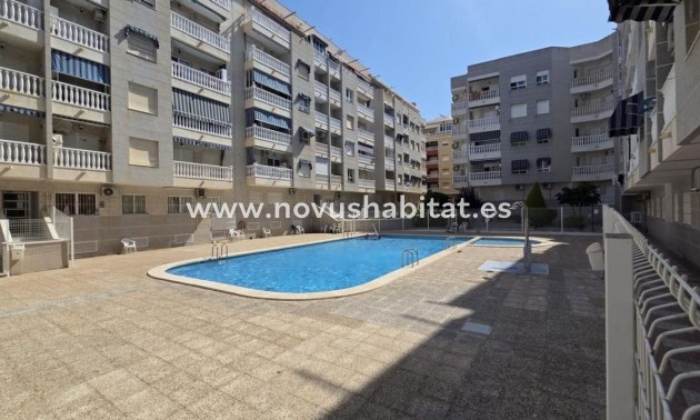 Apartament - Nueva construcción  - Torrevieja - Torrevieja