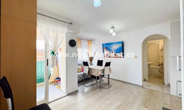 Apartament - Nueva construcción  - Torrevieja - Torrevieja
