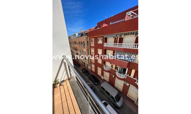 Apartament - Nueva construcción  - Torrevieja - Torrevieja