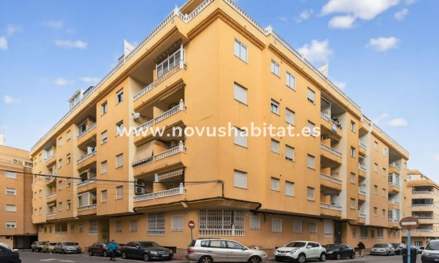 Apartament - Nueva construcción  - Torrevieja - Torrevieja