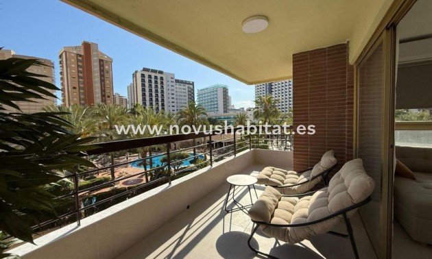 Apartament - Nýbygging - Benidorm - Benidorm
