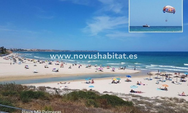 Apartament - Nýbygging - Pilar de la Horadada - Pilar de la Horadada