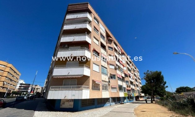 Apartament - Nýbygging - Torrevieja - Torrevieja