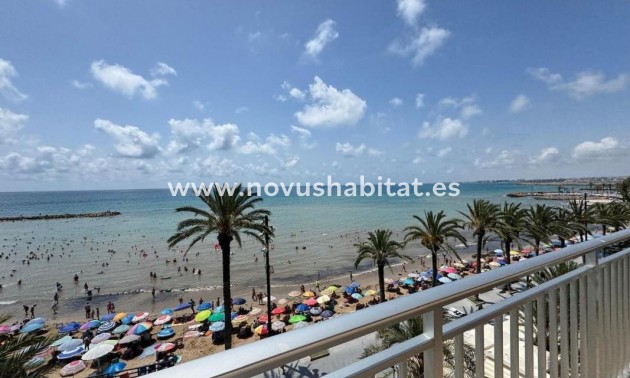 Apartament - Nýbygging - Torrevieja - Torrevieja