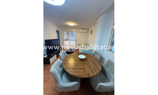 Apartament - Nýbygging - Torrevieja - Torrevieja