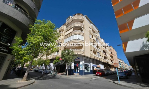 Apartament - Nýbygging - Torrevieja - Torrevieja