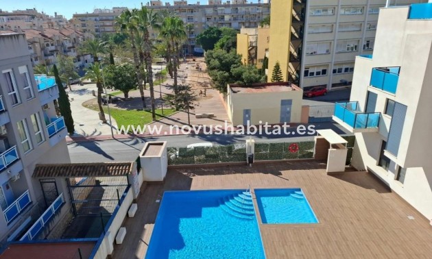Apartament - Nýbygging - Torrevieja - Torrevieja