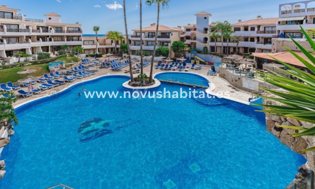 Apartament - Sprzedaż - Golf Del Sur - Parque Albatros Golf Del Sur Tenerife