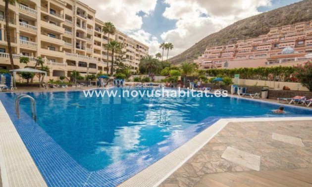 Apartament - Sprzedaż - Los Cristianos - Castle Harbour Los Cristianos Tenerife