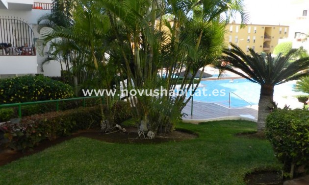 Apartament - Sprzedaż - Los Cristianos - Cristian Sur Los Cristianos Tenerife