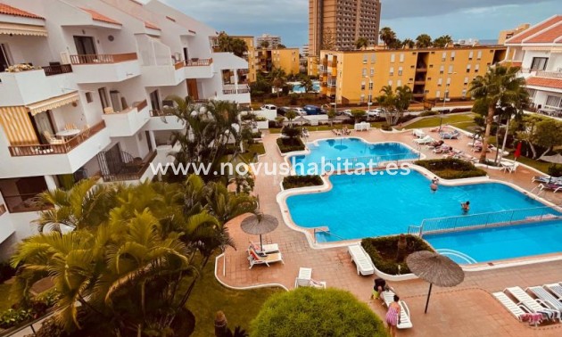 Apartament - Sprzedaż - Los Cristianos - Cristian Sur Los Cristianos Tenerife