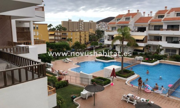 Apartament - Sprzedaż - Los Cristianos - Cristian Sur Los Cristianos Tenerife