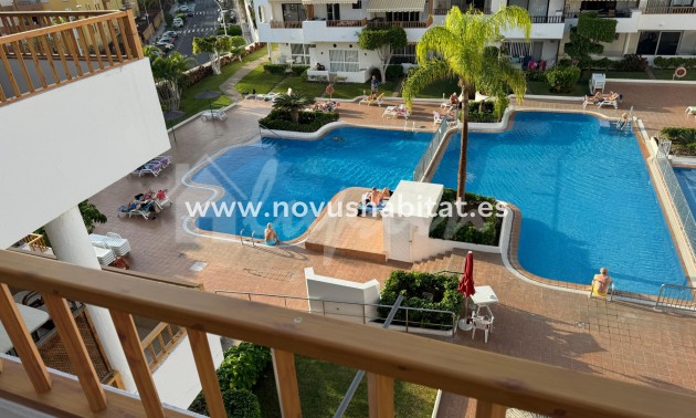 Apartament - Sprzedaż - Los Cristianos - Cristian Sur Los Cristianos Tenerife