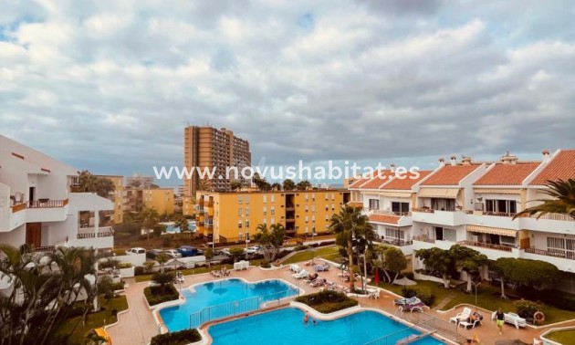 Apartament - Sprzedaż - Los Cristianos - Cristian Sur Los Cristianos Tenerife