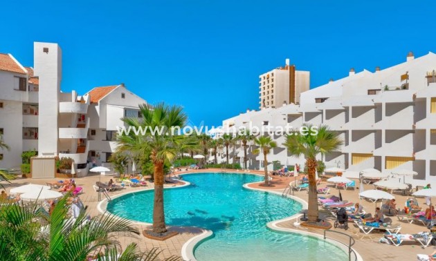 Apartament - Sprzedaż - Los Cristianos - Paloma Beach Los Cristianos Tenerife