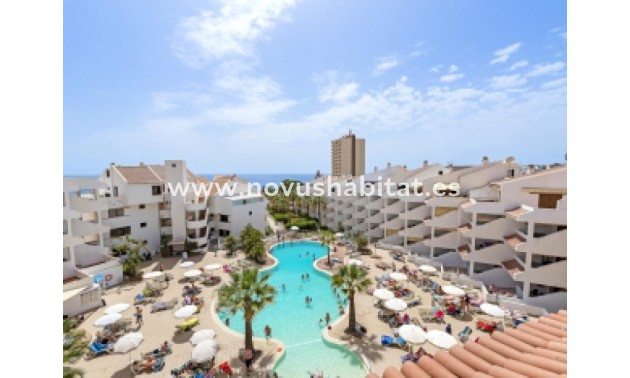 Apartament - Sprzedaż - Los Cristianos - Paloma Beach Los Cristianos Tenerife