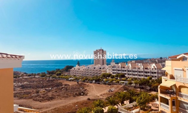 Apartament - Sprzedaż - Los Cristianos - Parque Tropical Los Cristianos Tenerife