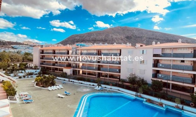 Apartament - Sprzedaż - Los Cristianos - Summerland Los Cristianos Tenerife