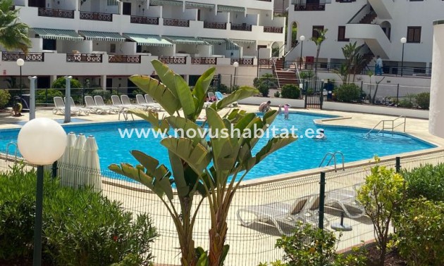 Apartament - Sprzedaż - Los Cristianos - Victoria Court 2 Los Cristianos Tenerife