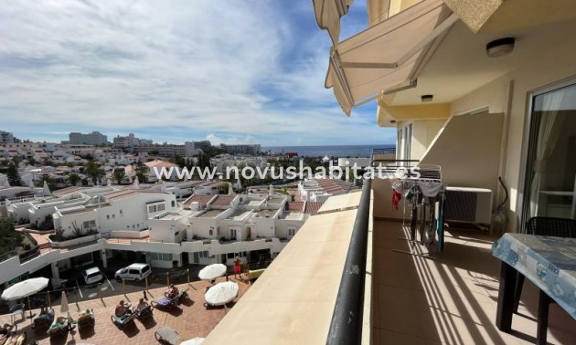 Apartament - Sprzedaż - San Eugenio - Santa Maria San Eugenio Tenerife