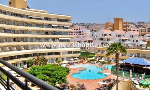 Apartament - Sprzedaż - San Eugenio - Santa Maria San Eugenio Tenerife