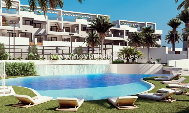 Apartamento - Nueva construcción  - Torrevieja - Torrevieja