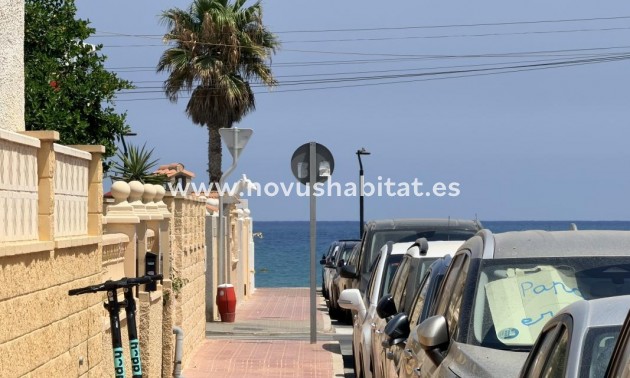 Apartamento - Nueva construcción  - Torrevieja - Torrevieja