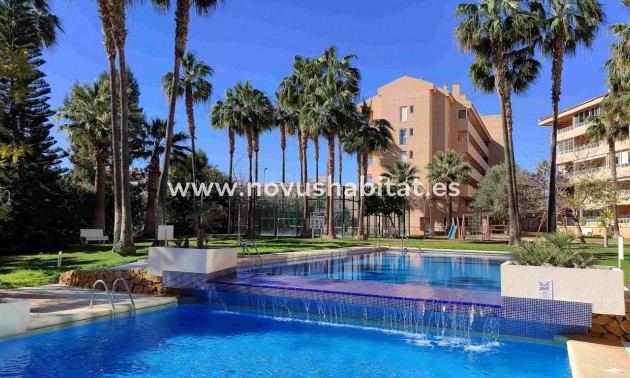 Apartamento - Segunda mano - Albir - Albir