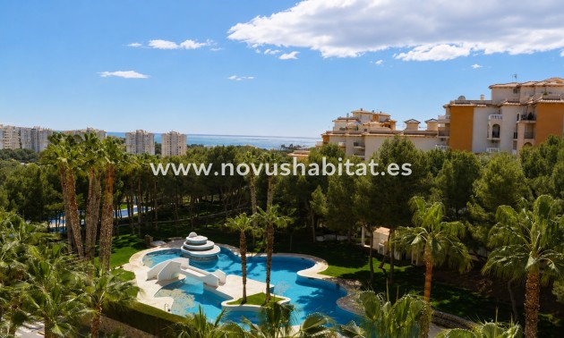 Apartamento - Segunda mano - Orihuela Costa - Campoamor
